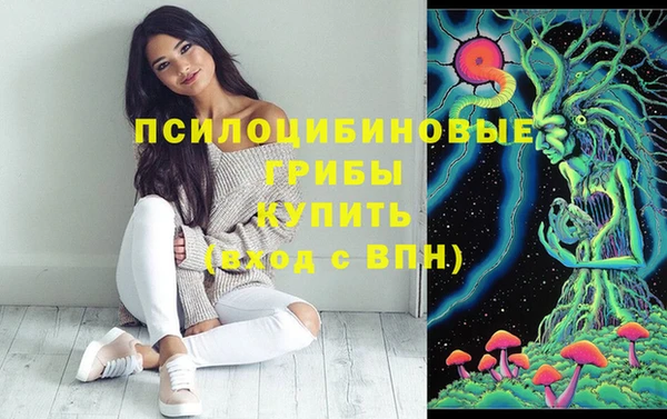 марки lsd Балахна