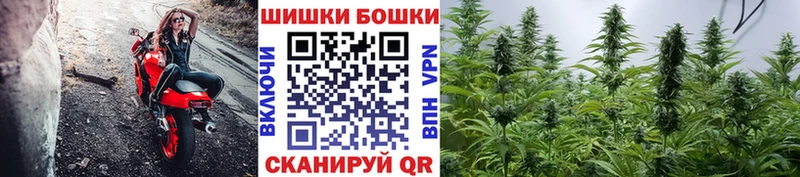 Бошки Шишки марихуана  кракен сайт  Усолье-Сибирское 